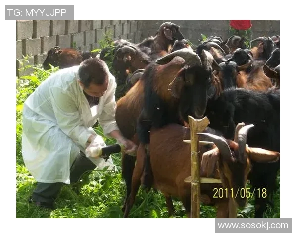 大山羊领衔足坛传奇演绎巅峰之路 打破记录再攀新高