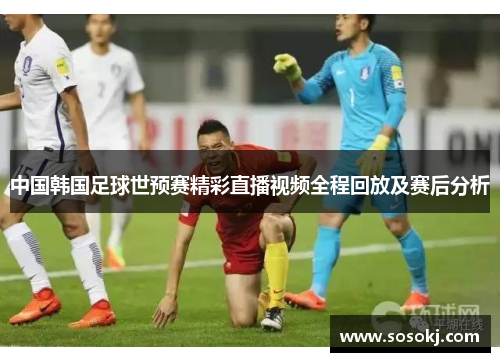 中国韩国足球世预赛精彩直播视频全程回放及赛后分析
