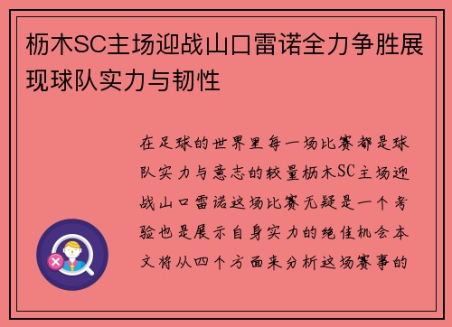 枥木SC主场迎战山口雷诺全力争胜展现球队实力与韧性